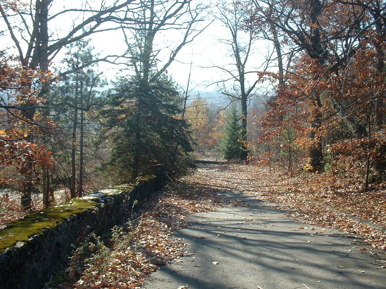 Frank's Place Rocky Glen Park