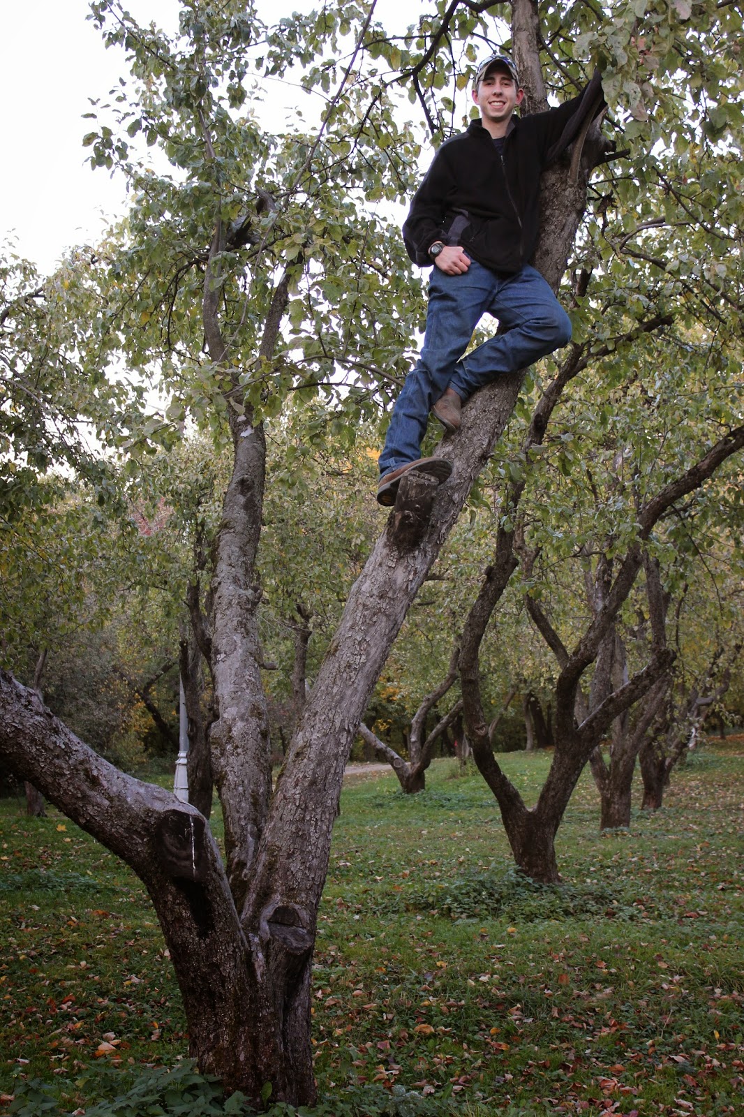 Cornerstone Retreat Climbing Apple Trees