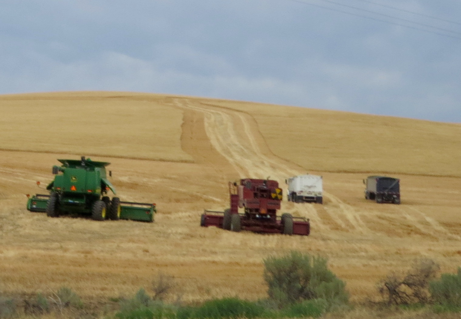 Where's Liz? 2016 Moro, Sherman County, Oregon