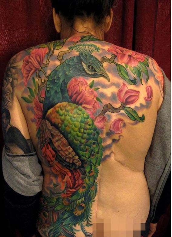 best peacock tattoos best peacock tattoos designs ideas