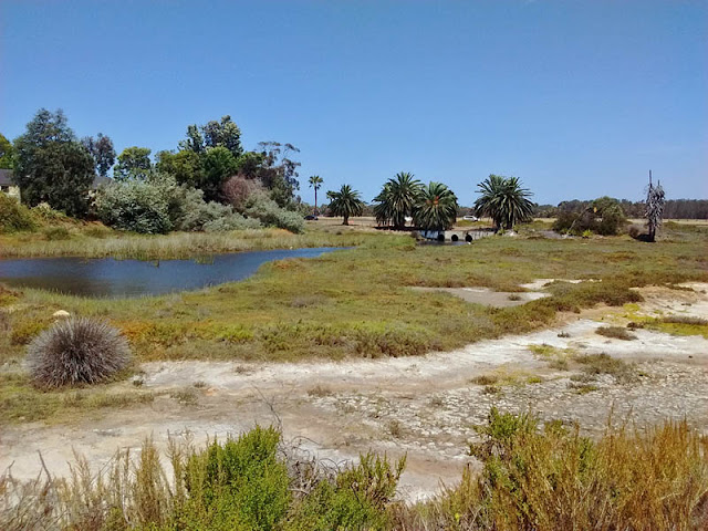 North Channel Famosa Slough North Channel Famosa Slough