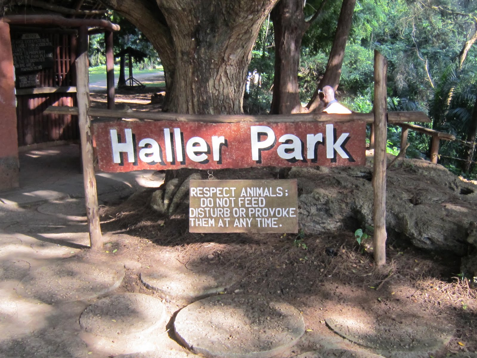 Haller Park Essays