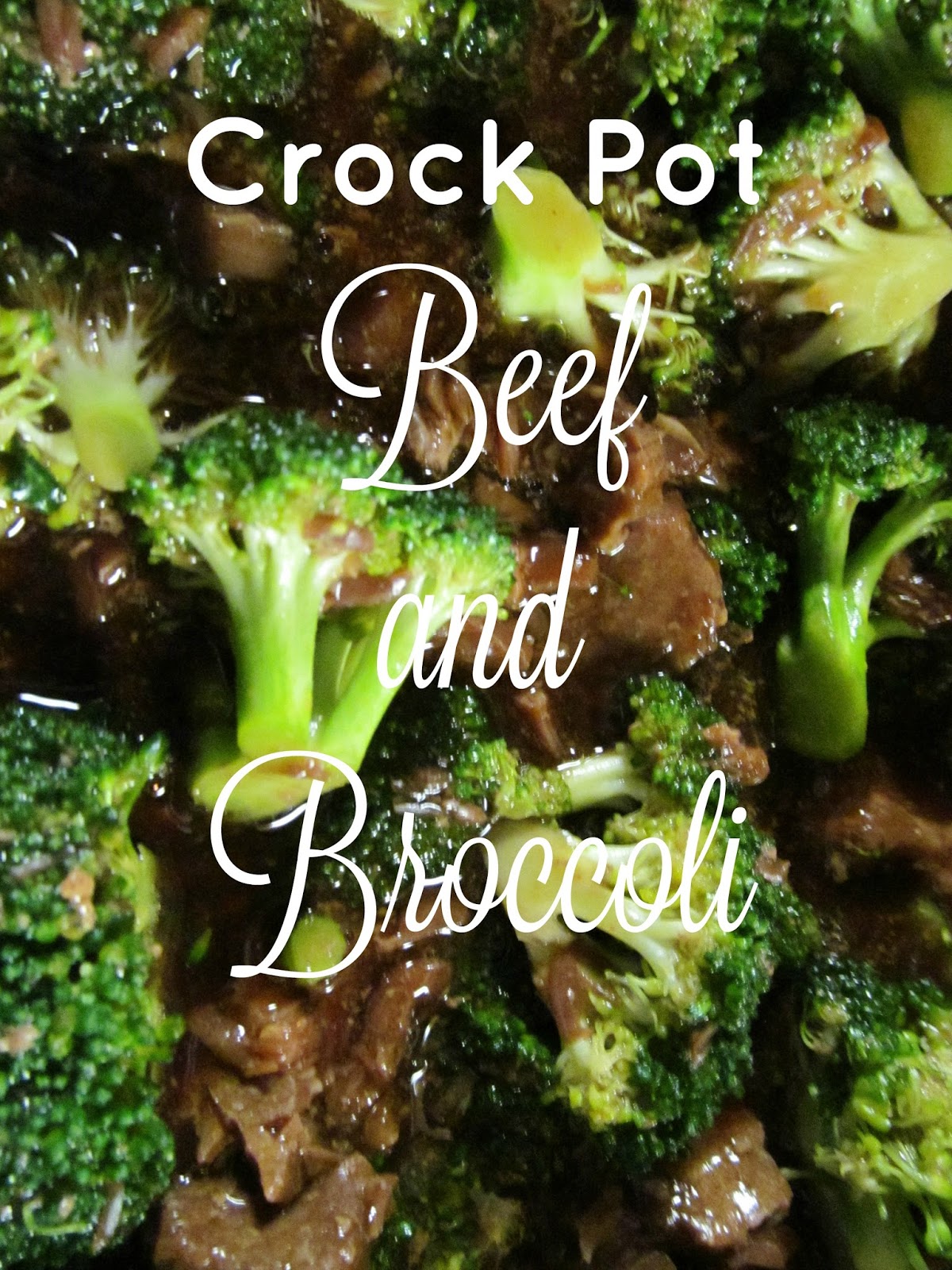 LL Farm Crock Pot Beef and Broccoli