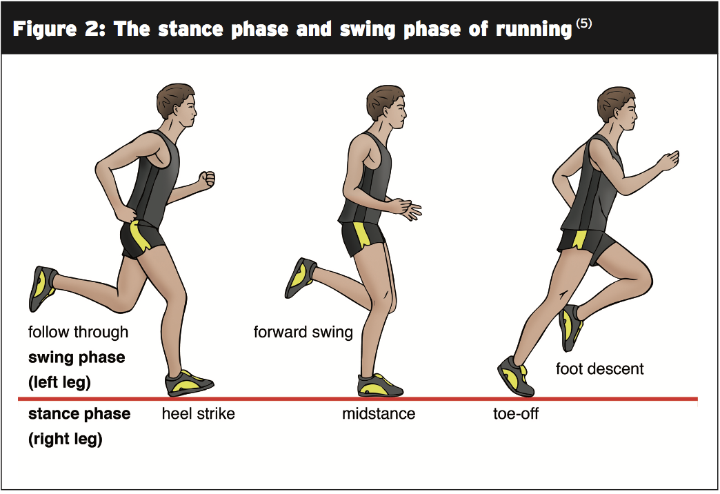 Running & Hip Injuries The Science