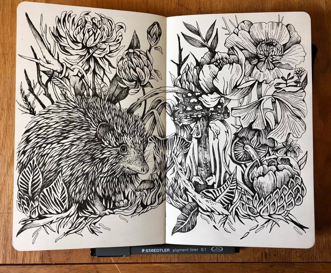 02-Hedgehog-and-Mushrooms-Kate-Burgau-Ink-Illustrations-of-Nature-and-Animals-www-designstack-co