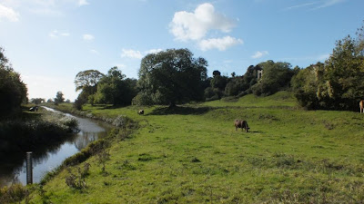 Winchelsea