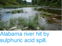 http://sciencythoughts.blogspot.co.uk/2016/08/alabama-river-hit-by-sulphuric-acid.html