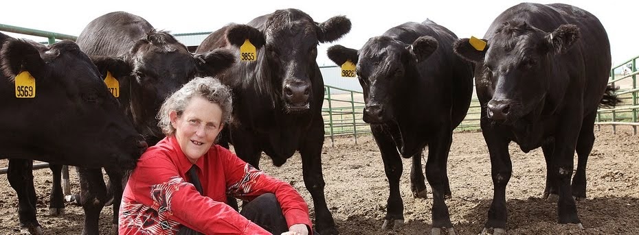 Temple Grandin - Autismus - Knihy o autismu