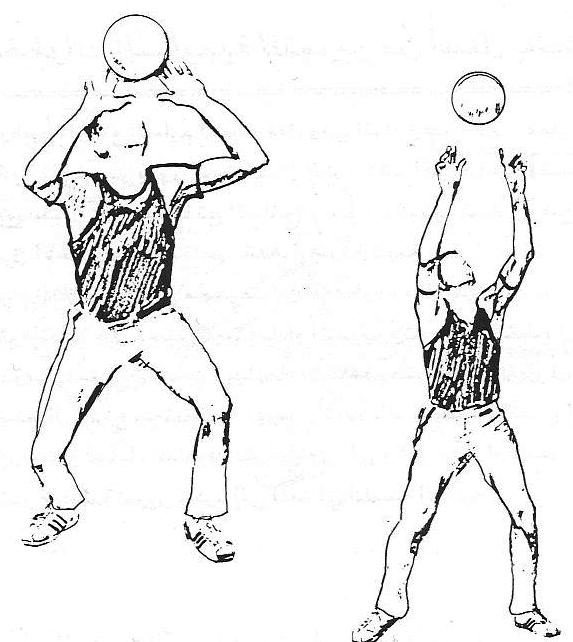 بشكل اليدين مناسب عند شكل لاستدارة للأمام تمرير الكرة بالأصابع راحتا وللأعلى محدبتين الكرة يكون حل سؤال