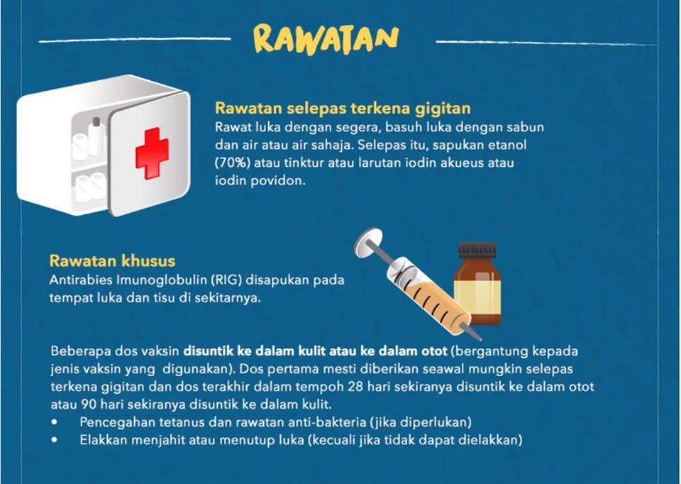 Penyakit Anjing Gila(Rabies) | YUK'S TROVE