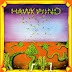 1970 Hawkwind - Hawkwind