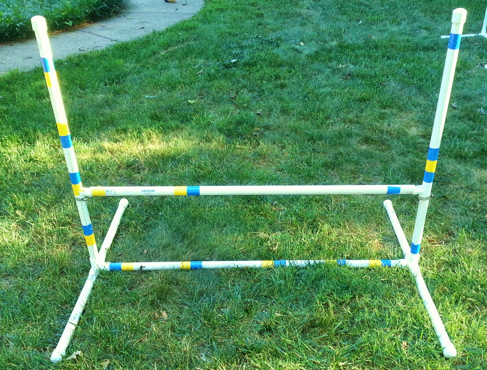 Grace and Buster DIY Agility Equipment Bar Jump