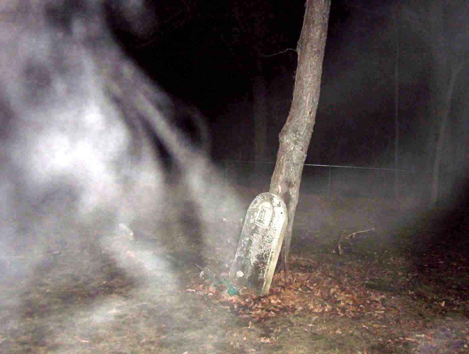 Seeks Ghosts The Gypsies’ Cemetery