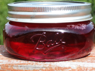 The Make Do Homemaker: When Life Gives You Lemons...: Wildflower Jelly