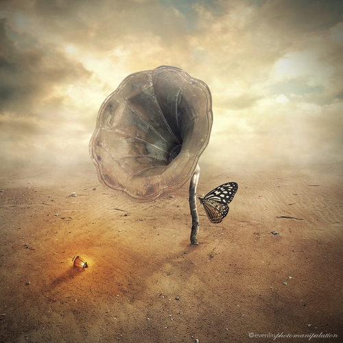 04-Flower-Even-Liu-Surreal-Photo-Manipulations-and-the-Lantern-www-designstack-co