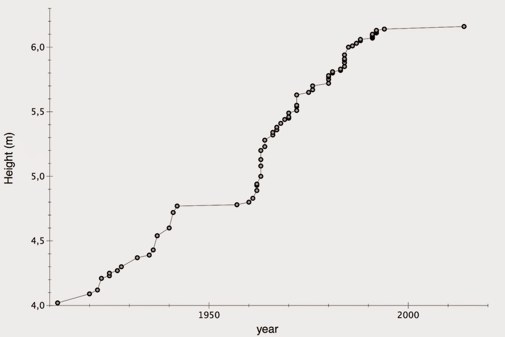 Rethinking Athletics Pole vault a sprinkle of physics