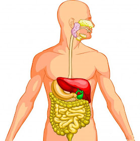 BIOLOGI GONZAGA: January 2010
