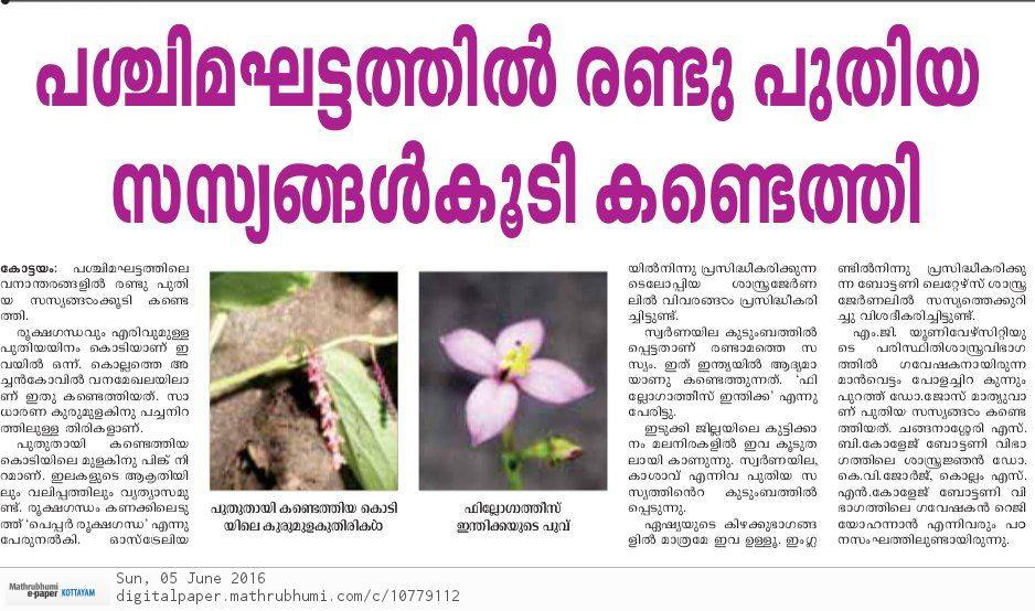 Plants of Kerala