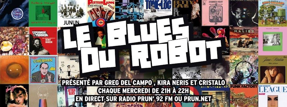 Le Blues Du Robot