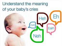 Dunstan Baby Language