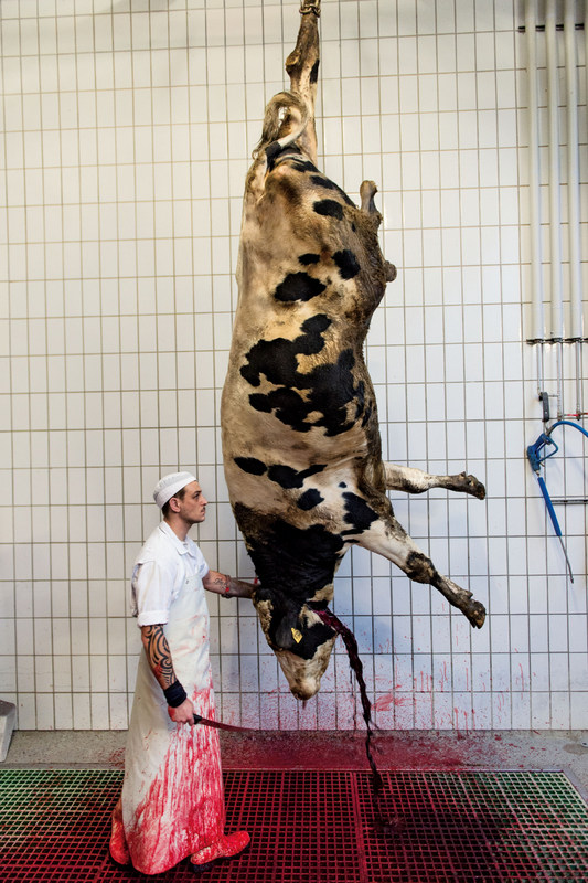 Steaks - Meisterstücke für Männer, das Buch zur Beef! Fotografie: Peter Schulte für Tre Torri | Arthurs Tochter Kocht by Astrid Paul