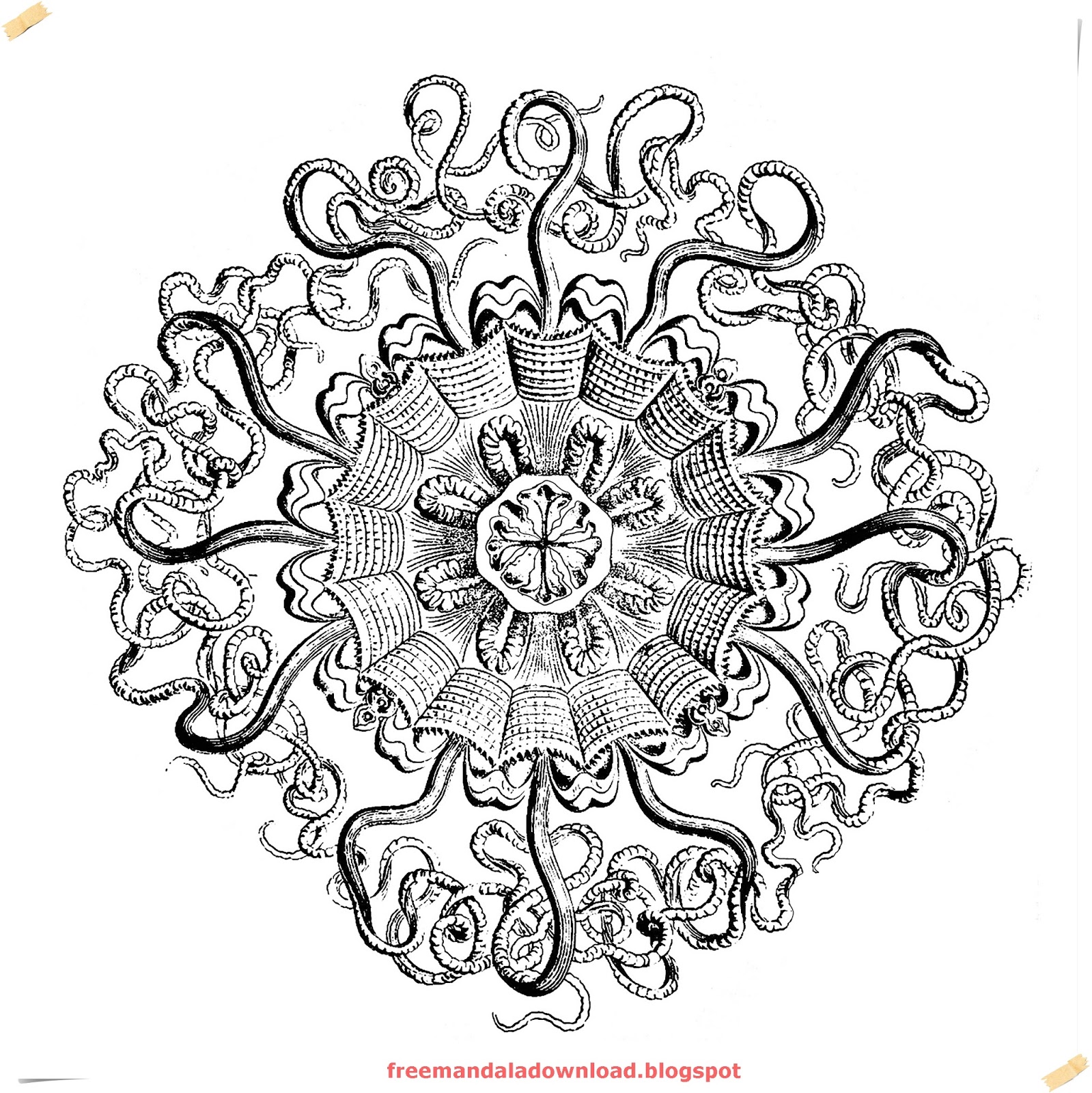 Schwierige Mandalas Für Erwachsene/Difficult Mandalas ~ Free Mandala