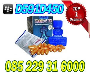 jual hammer of thor semarang jual hammer of thor semarang