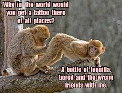 Why in the world would you get a tattoo there of all places? A bottle of tequila, bored and the wrong friends with me. Monkey meme