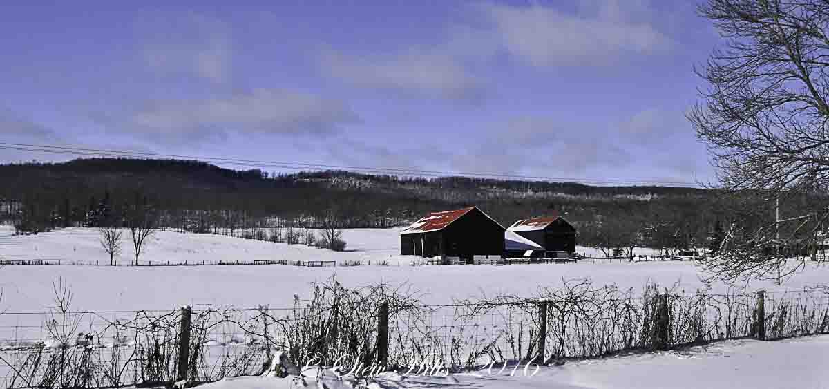 Seasons in the Valley + Furry Gnome's Adventures: Log Barns