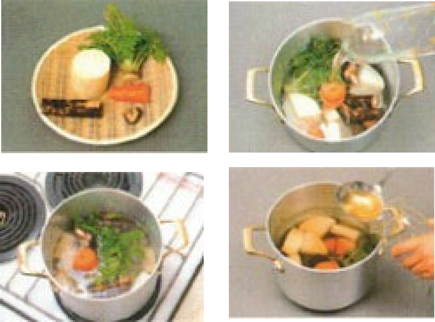 5 Elements Vegetable Soup Dr Tateishi Kazu's 5 Veggies Soup Recipe