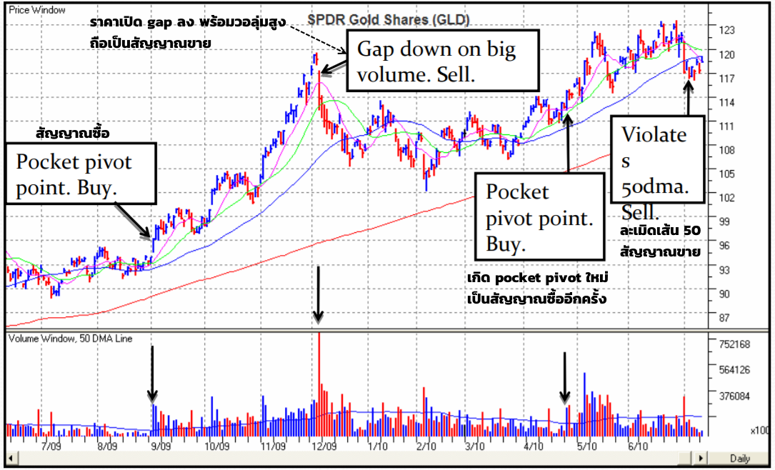 สรุปกฎ Pocket Pivot Buy Point 10 ข้อ