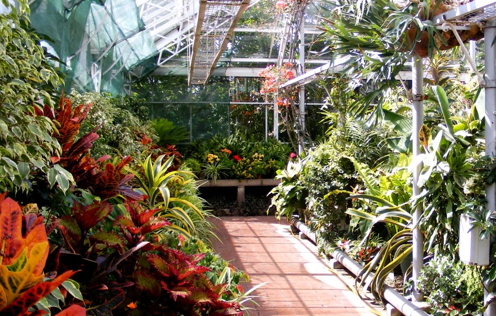 Staffordshire Photo Stafford's hottest place