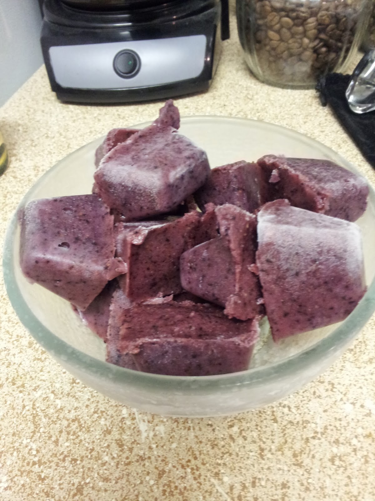 the compassionate vegan Blueberry Frozen Puppy Pops