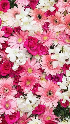 flower background images