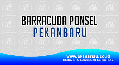 Barracuda Ponsel Pekanbaru