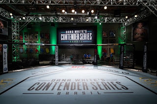 Ufc 235 payout Ufc 235 payout