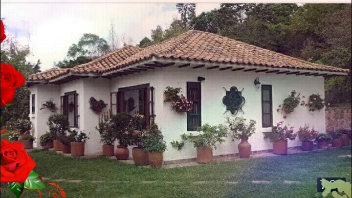 Roça lírios do campo PRA QUEM AMA TUDO DE ROÇA CASAS ANTIGAS E