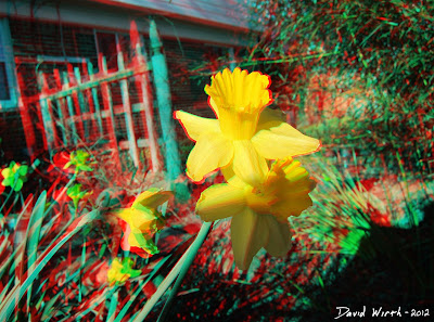 3D Flower Garden Yellow