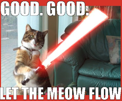 cat has red light saber