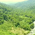 Keindahan Dan Keunikan Pantai Lubuak Batu Di Dalam Hutan