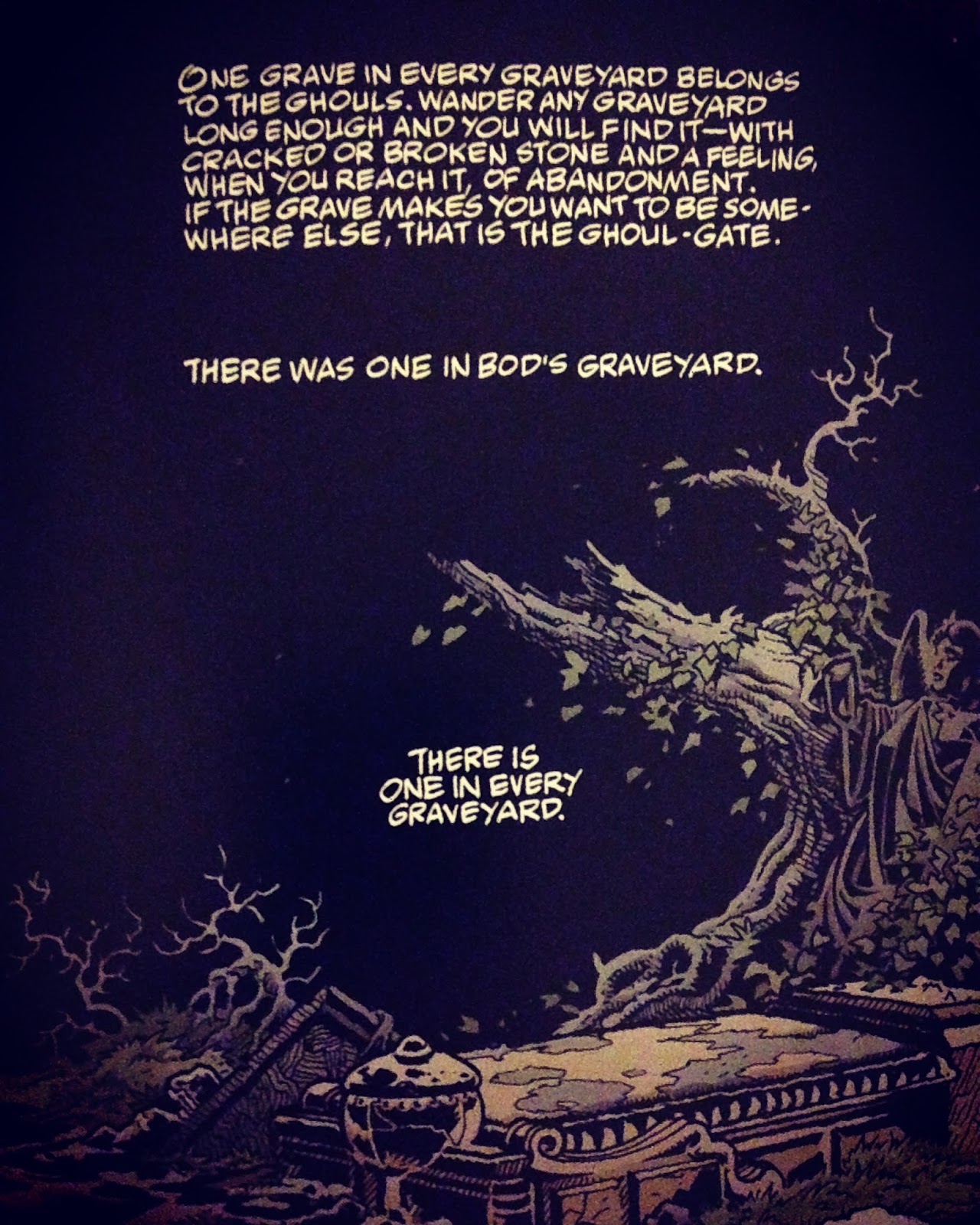 [Graphic Novel Review] The Graveyard Book Vol. 1 by Neil Gaiman Erica Robyn Reads