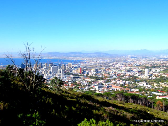 View from Signal Hill