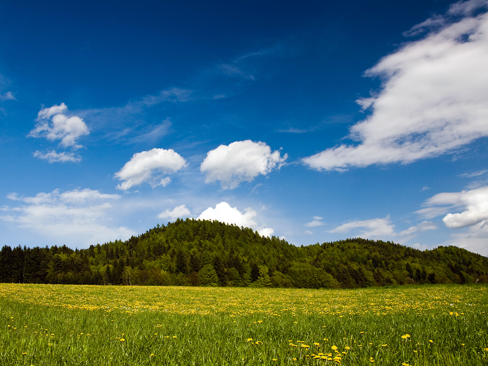 WALL WALLET: HD design wallpapers free download