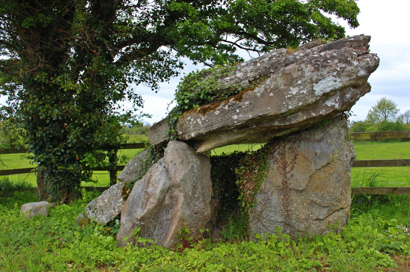 Historic Sites of Ireland Annaghmore Portal Tomb