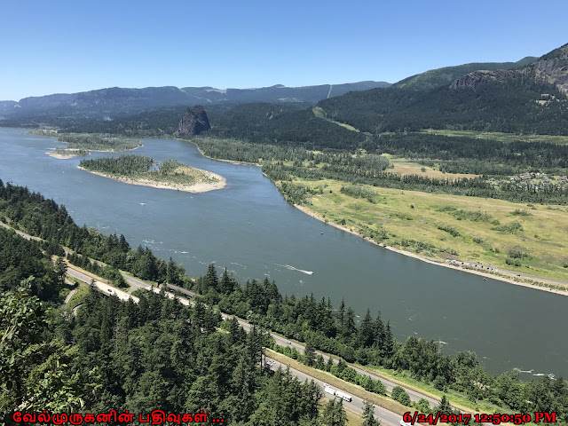 Oregon Columbia River Gorge View