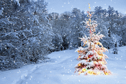christmas animated merry awesome amazing wallpapers tree snow most fresh latest collection trees hd holiday xmas pretty forest part22 snowy