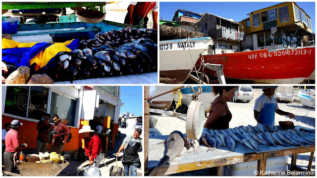 Popotla Fishing Village Popotla Fishing Village Baja California Mexico