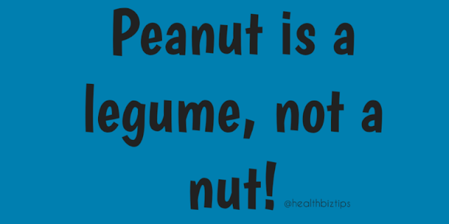 Peanut is a legume, not a nut!