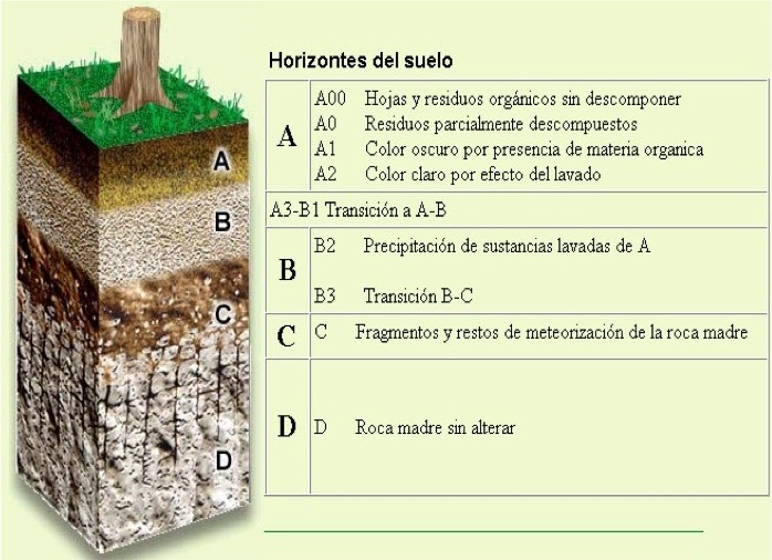 Pinceladas sobre Historia y Geografía El suelo Pinceladas sobre Historia y Geografía El suelo