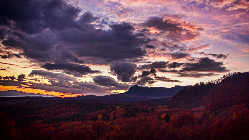 Perfect Autumn Colors
